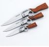 🔥Handcrafted By German Masters - Multifunctional Outdoor AK47 Folding Knife