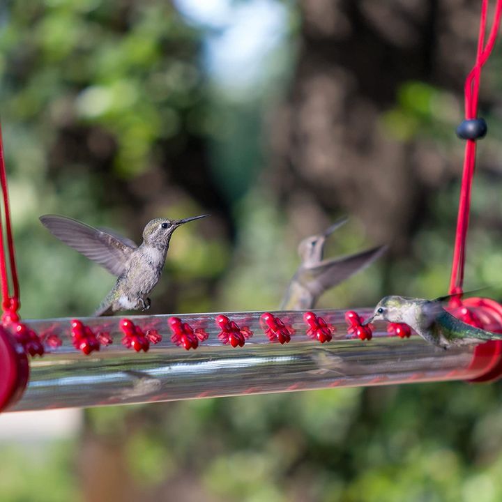 (🔥Last Day Promotion- SAVE 48% OFF)Flower Bar Hummingbird Feeder(BUY 2 GET FREE SHIPPING)