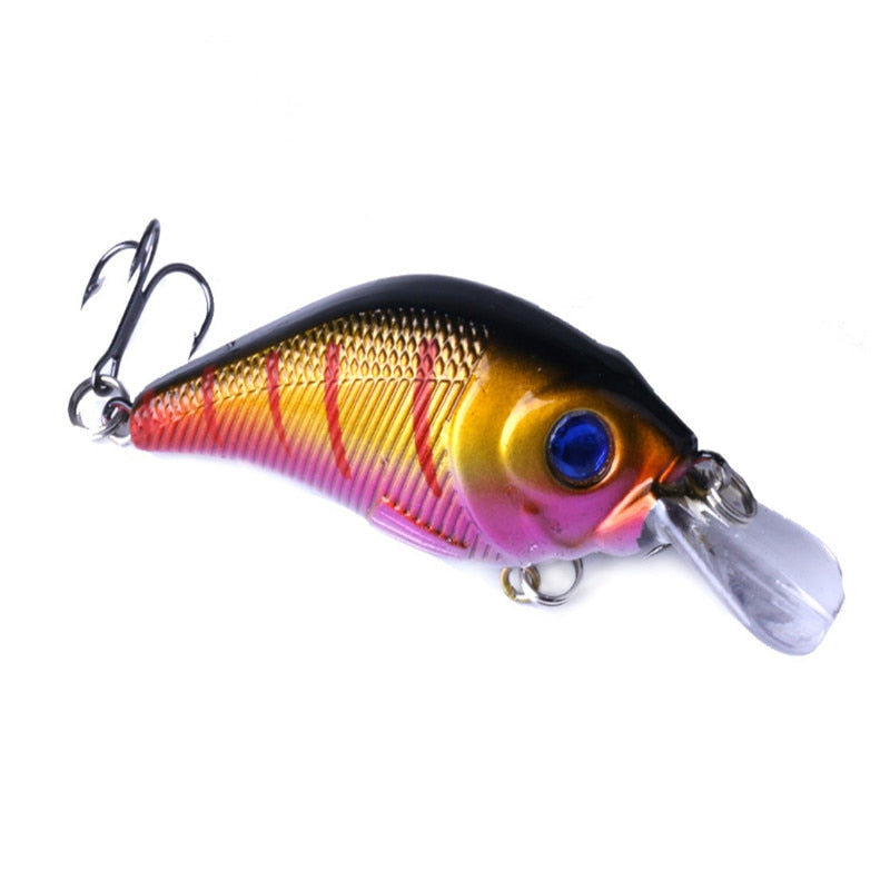 Crankbait Fishing Lure