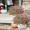 🎄Christmas Flash Sale-50% OFF-🔥Outdoor Artificial Flowers💐