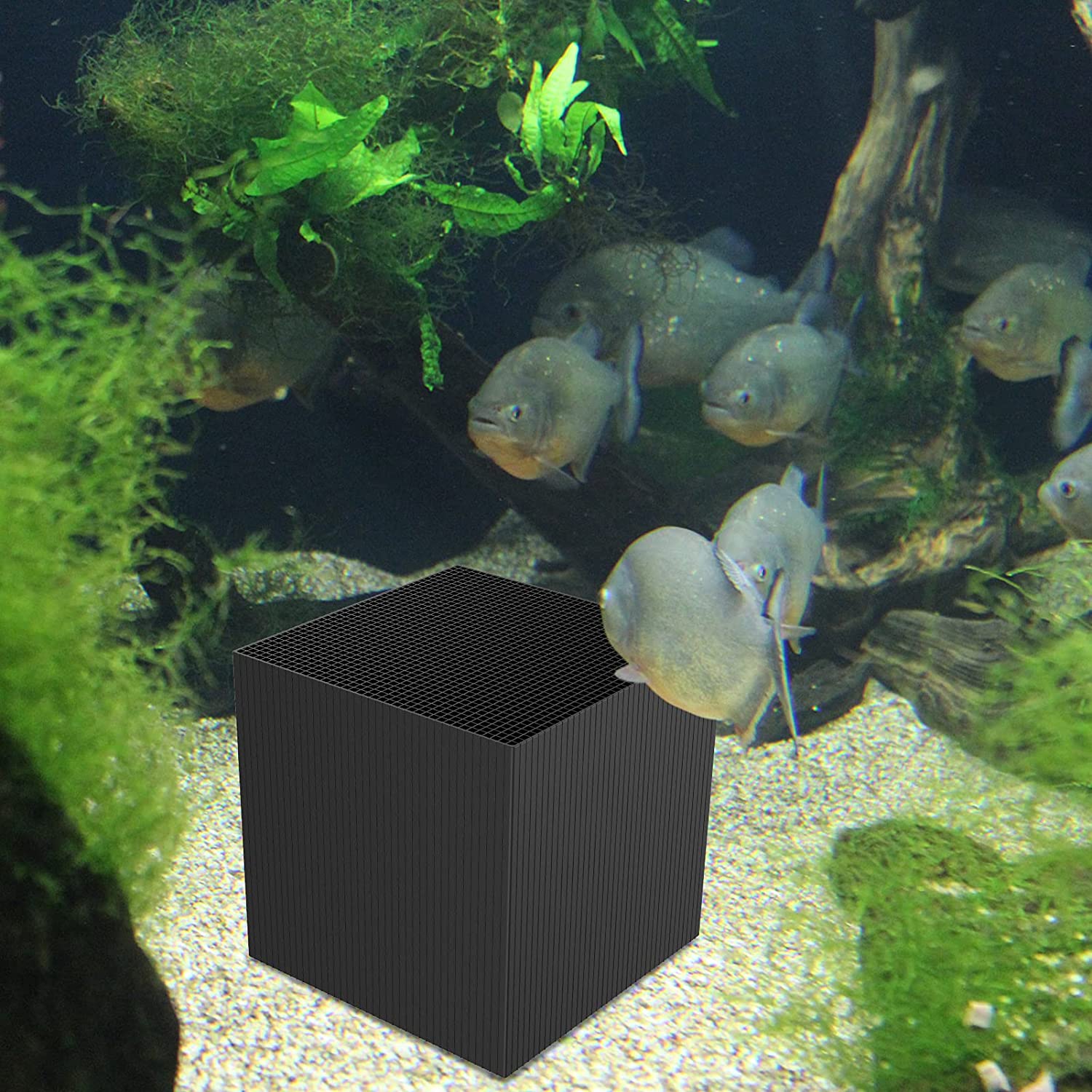 (🔥Last Day Promo - 70% OFF) Aquarium Water Purifier Cube Pro