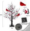 🍂TikTok Fall Sale — Last Day 70% OFF🎉Christmas Lighted Mini LED Tree With Red Berries🎄