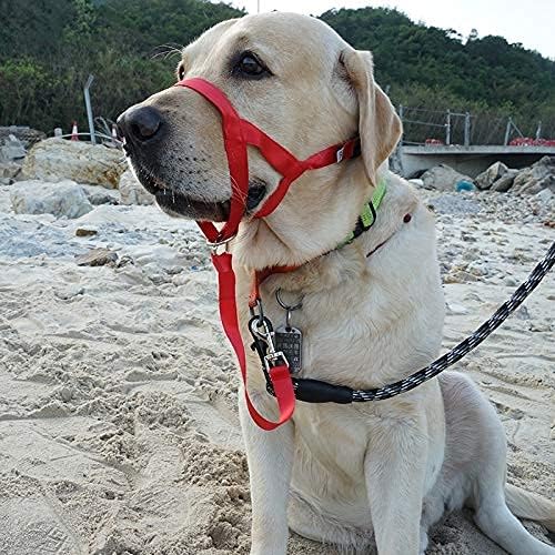 BARKLESS Soft Dog Head Collar, No Pull Training Tool for Small Medium Large Dogs on Walks, Gentle Training Collar and Control for Heavy Pullers, Includes Free Training Guide