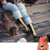 Early Christmas Hot Sale 48% OFF - Chicken Legs Socks(Buy 3 Get 1 Free Now)