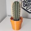 🔥Last Day Promotion 60% OFF🎁Funny Cactus Toothpick Holder