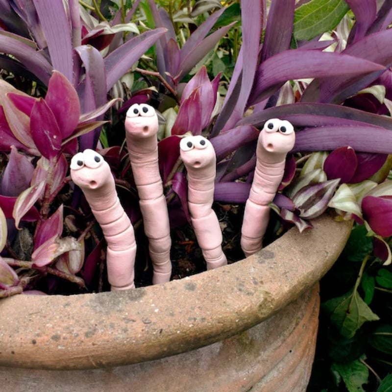 🎁TikTok Last Day Sale - 70% OFF🎉Thirsty Worm moisture monitor for your potted plant