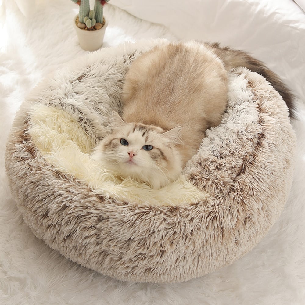 ✨LAST DAY 49% OFF🐈️Cat Plush Bed