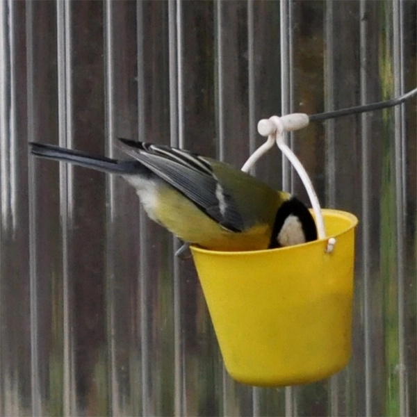 Fun Ferris Wheel Bird Feeder 🐦 Create a bird playground in your garden