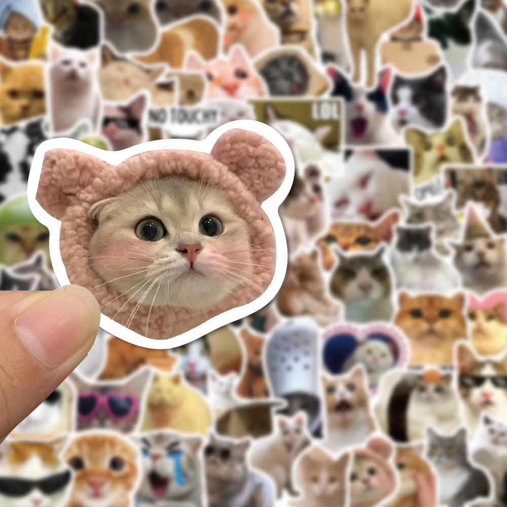 😻100 PCS Funny Kitten Stickers