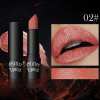Matte Long Lasting Lipstick With Fine Glitter
