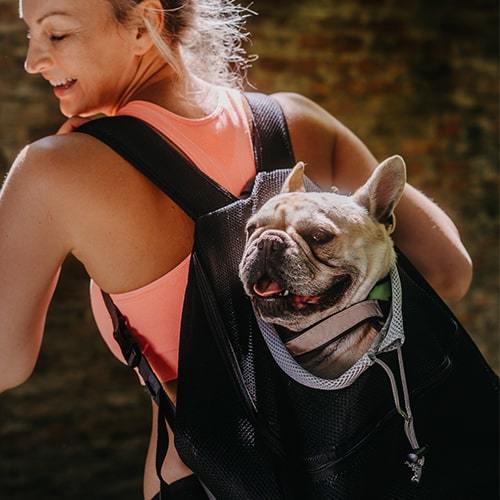 (💗Hot Sale -45%OFF) Doggy Rucksack