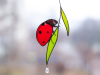 💝2023 Mother's Day Save 48% OFF🎁Handamade Stained Glass Ladybug Window Hanging(BUY 2 GET FREE SHIPPING)