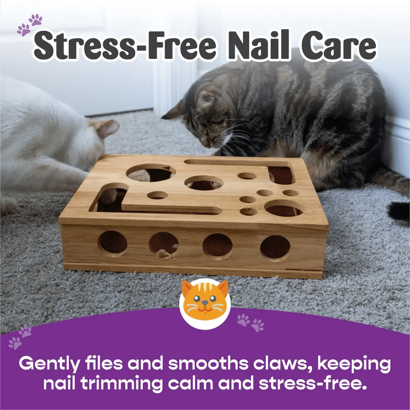 🎁TikTok Last Day Sale - 70% OFF🎉Cat Scratch Puzzle Enrichment Box: Nail File Stress Free Alternative to Clippers and Grinders
