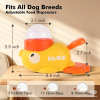 🎁TikTok Last Day Sale - 70% OFF🔥Interactive Pet Feeder