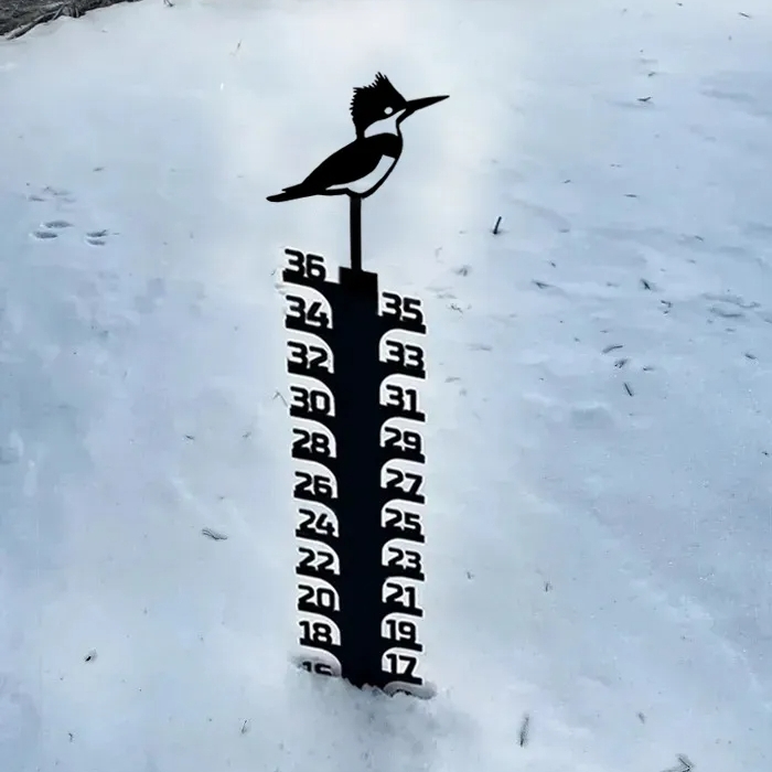 🎄Early Christmas Sale 49% OFF❄️Iron Art Snow Gauge✨Buy 2 Get 10% OFF & Free Shipping