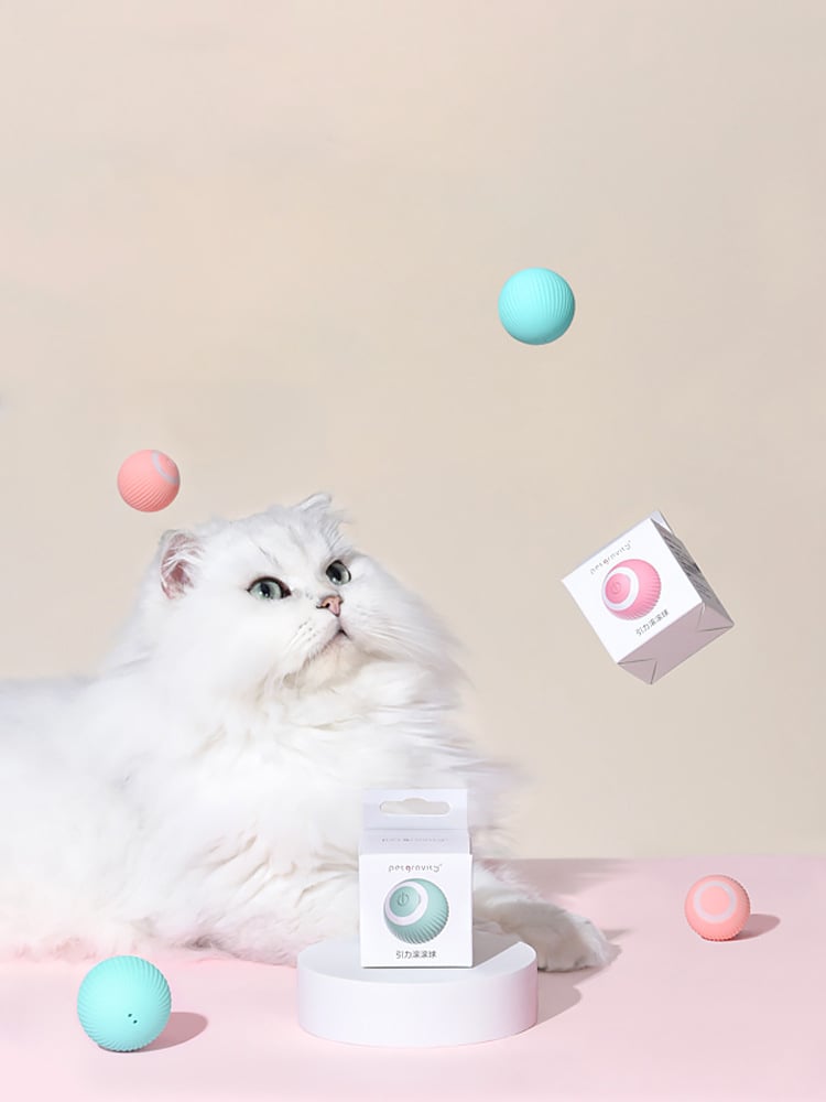 🔥Last Day Promotion 50% OFF🔥USB charging automatic cat ball