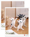 🔥 2021 Popular Toy Ornaments Kitten Stents Cat Penholders Pet Toys Hot sale - Special Event 50% OFF