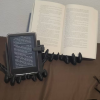 🔥Halloween sale!!! - Demon hands Bookshelf-Suitable for books, tablets and laptops