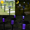 🔥Heißer Verkauf - 50%|Moskito-Abwehr und Beleuchtung Solar-Gartenleuchte