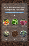 🔥Last Day Promotion 48% OFF-🎁- Home Gardening Universal Slow-Release Tablet Organic Fertilizer