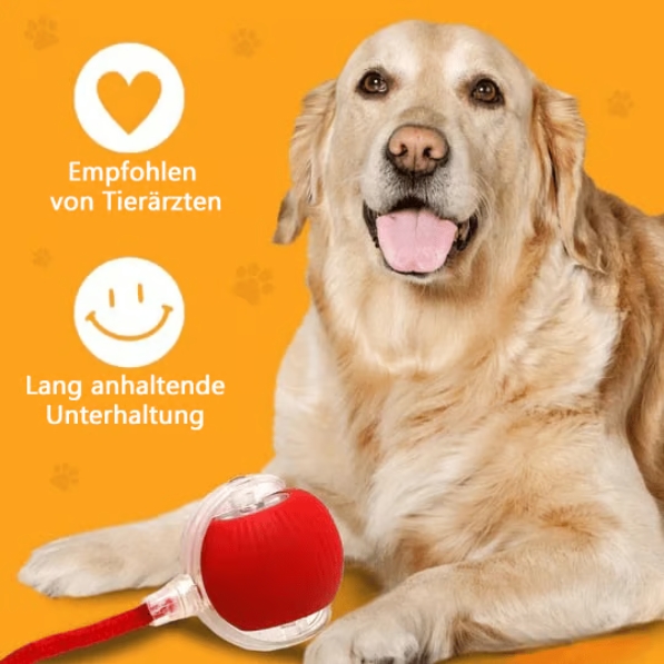 🔥Letzter Tag 49 % Rabatt🔥Interaktives Spielzeug Ball Automatisches Haustier-Übungsspielzeug!😻