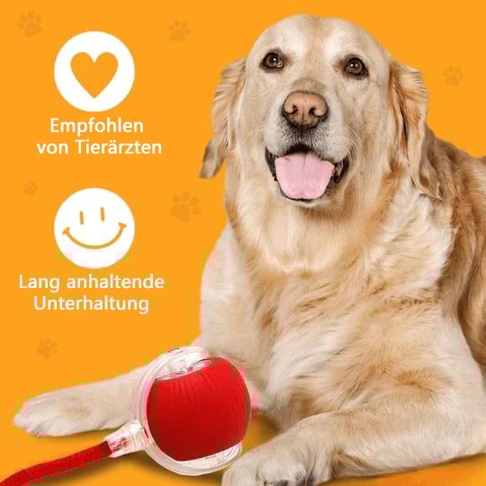 💗Letzter Tagesangebot: 49 % RABATT😻 Interaktiver Spielzeug Ball