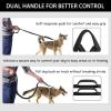 🎁TikTok Last Day Sale - 70% OFF🎉Hands Free Dog Leash with Zipper Pouch