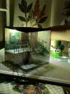 Backstairs Lightbox – Miniature Life Scene with Urban Decay & Real Glow