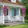 Perfect home garden decoration – 🌺hanging morning glory