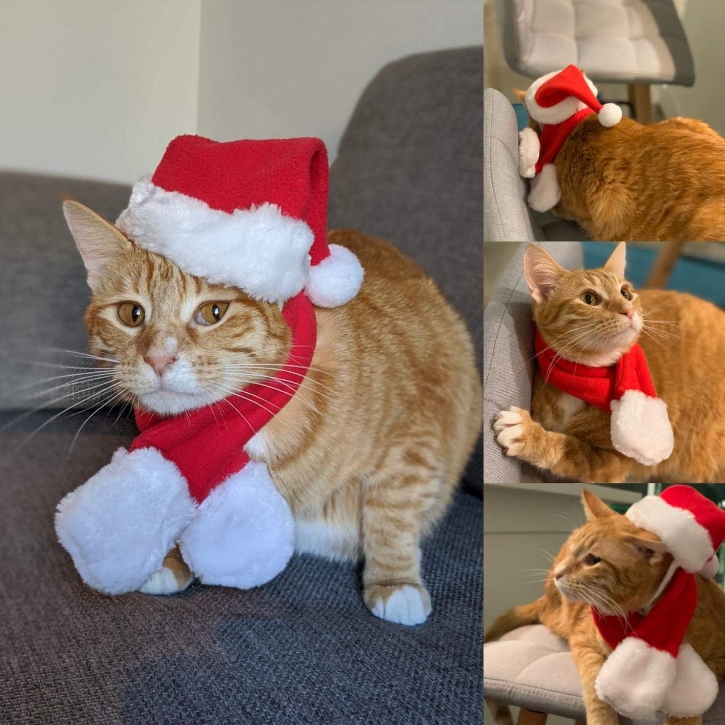 (🌲Early Christmas Sale - SAVE 50% OFF) Christmas Pet Headwear,
