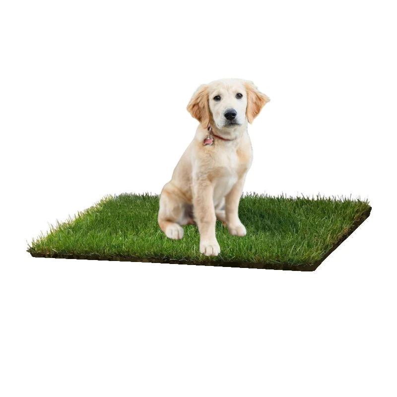 🎄Christmas Hot Sale 70% OFF🎄DOG LAWN