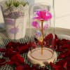 🔥Last Day 50% OFF - Enchanted Sparkly Rose™
