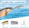 🎄 Früher Weihnachtsverkauf 50% Rabatt 🎁 – 🎣 Angel-Adventskalender 2025 (Limitierte Edition)