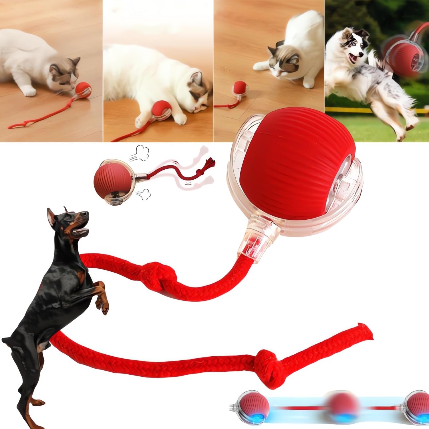 Smart Led Rolling Pet Ball Toy