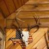 2024 New Version-European Deer Mount Plaque