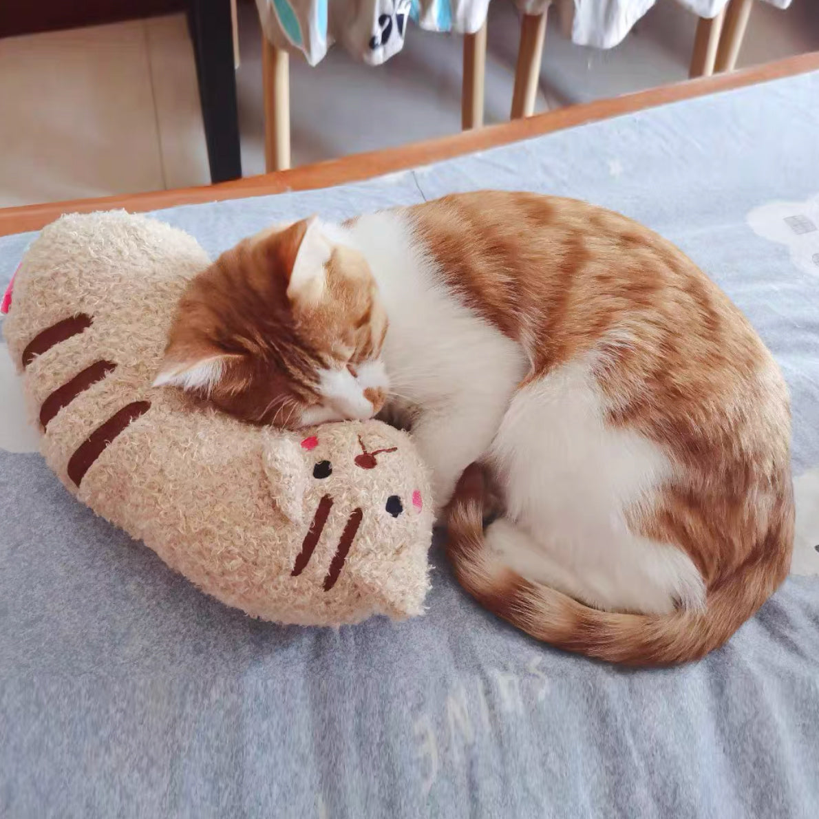 (Last Day Promotion - 48% OFF) Cat Lovely Cozy Pillow, BUY 3 GET 3 FREE & FREE SHIPPING