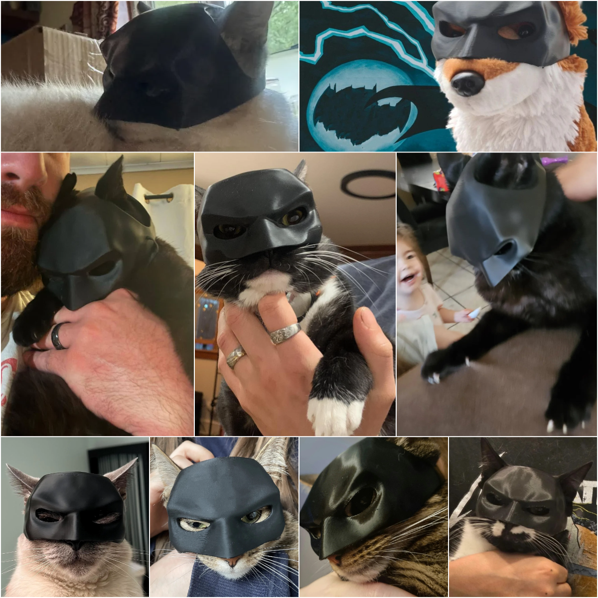 (🎃Halloween Hot Sale - 49% OFF) 🐱🦸‍♂️Bat Cat Avenger Mask