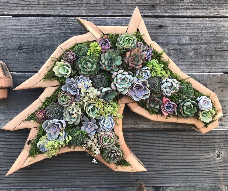 🎁2023-Christmas Hot Sale🎁Animal Succulent Garden Arrangement & BUY 2 FREE SHIPPING