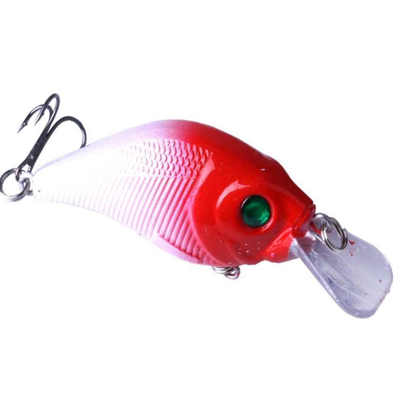 Crankbait Fishing Lure