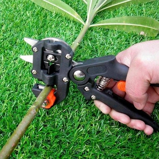 Early Christmas Hot Sale 50% OFF - Professional Garden Grafting Tool