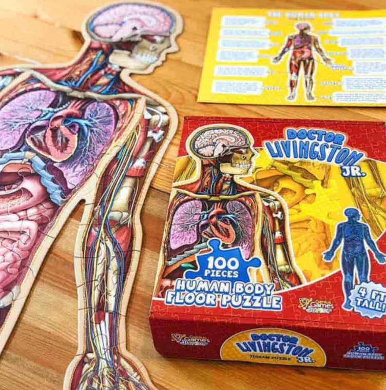 ⏰LAST DAY SALE 50% OFF🔥Kid's 100 Piece Human Body Floor Puzzle