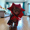 <strong>🎃Halloween Special 50% OFF</strong> 🦇Halloween Pet Cape Costumes Cosplay Vampire Cloak