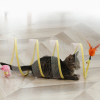 Folded S Type Tunnel Cat Toy(BUY 2 GET FREE SHIPPING)