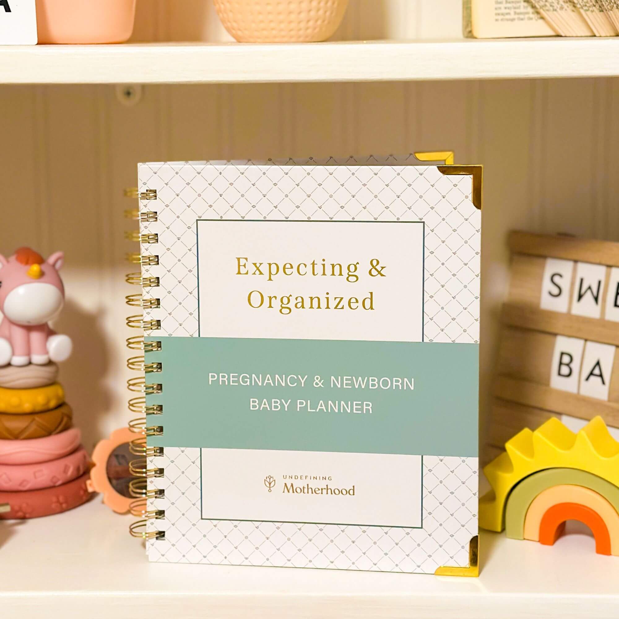 🔥Last Day Promotion 70% OFF🔥Expecting & Organized: Pregnancy Planner & New Baby Organizer