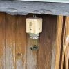 ✨Hot Sale 50% OFF--🔥Best Carpenter Bee Trap