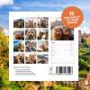 HOT SALE🔥Cat Calendar 2025