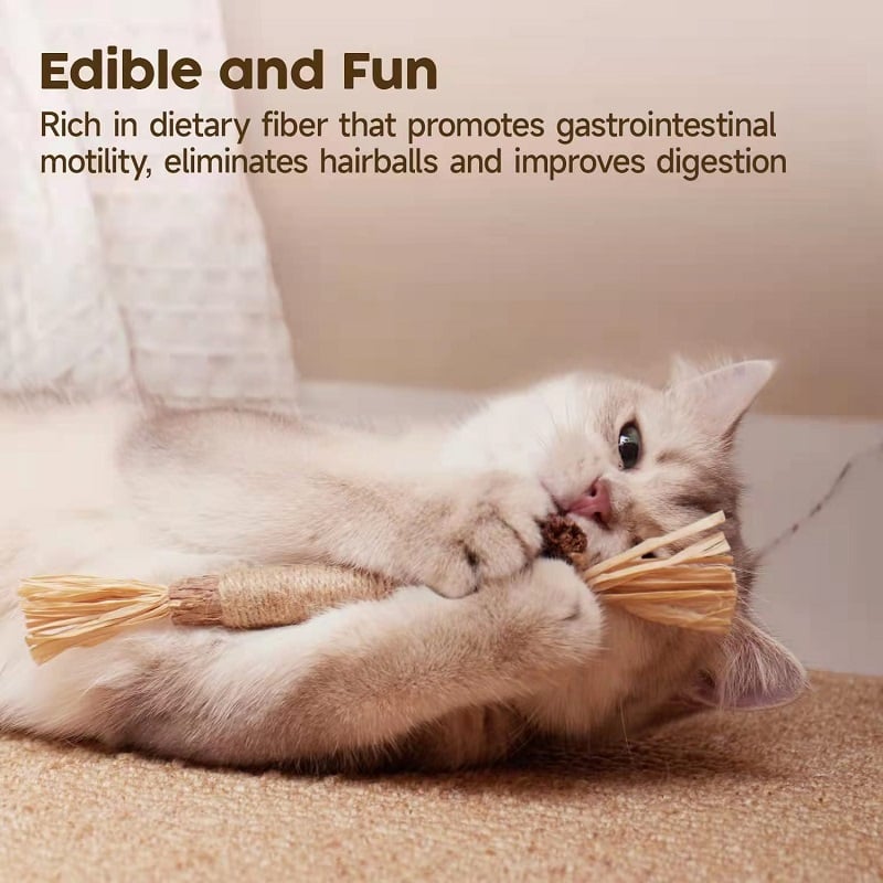 (🔥Last Day Promotion - 49% OFF) Natural Silvervine Stick Cat Chew Toy- BUY 3 GET 2 FREE TODAY!