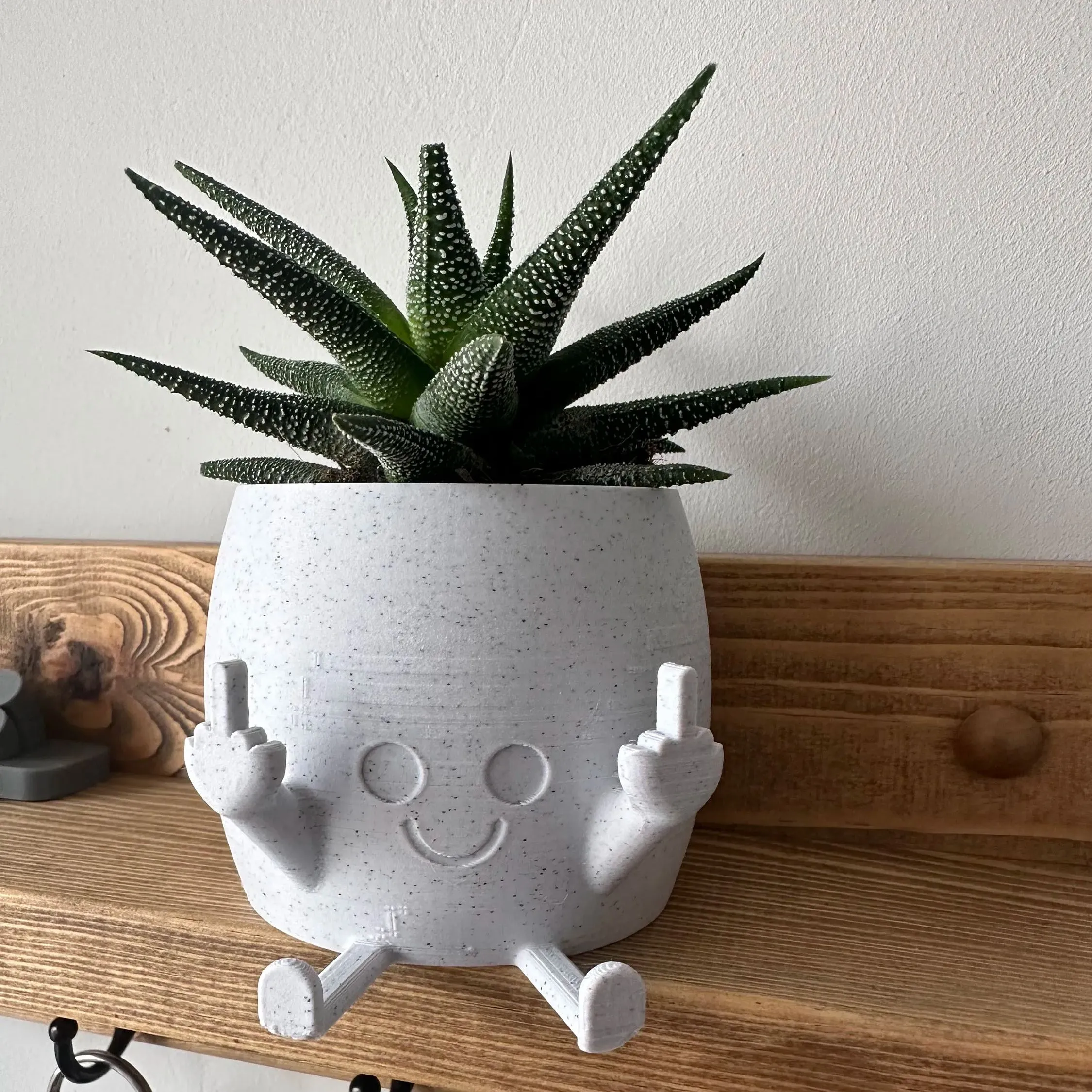 🤣Smiling Plant Pot with Middle Fingers Up