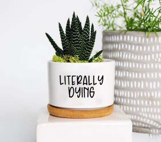 🔥New Year Promotion 50% Off-🌱Funny Plant Pot