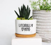 🔥New Year Promotion 50% Off-🌱Funny Plant Pot